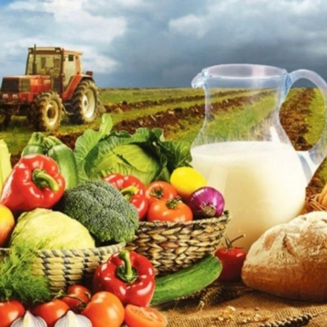 🍅СЕЛЬХОЗ БАЗАРЧИК 64