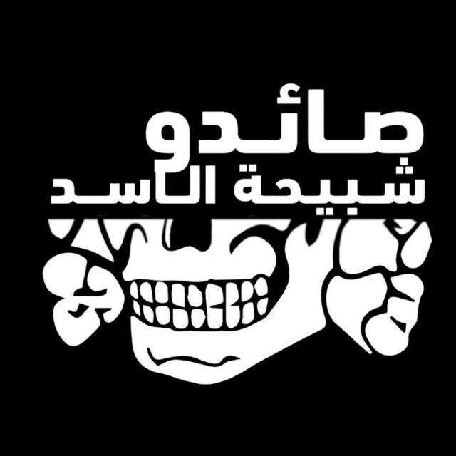 صائدو شبيحة الاسد