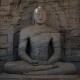 Words of the Buddha
