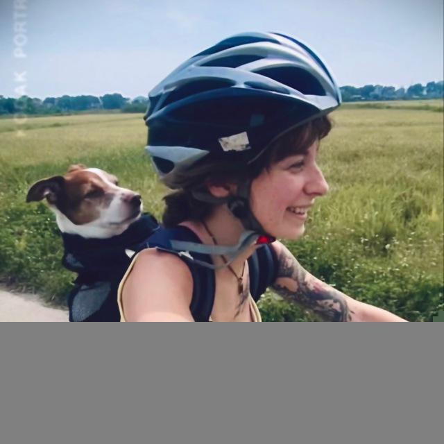 Мышка-Путешественница 🐭