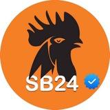 SB24