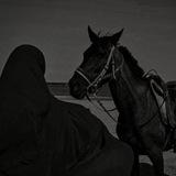 نَفحُ الرنــ𓂆ــد.