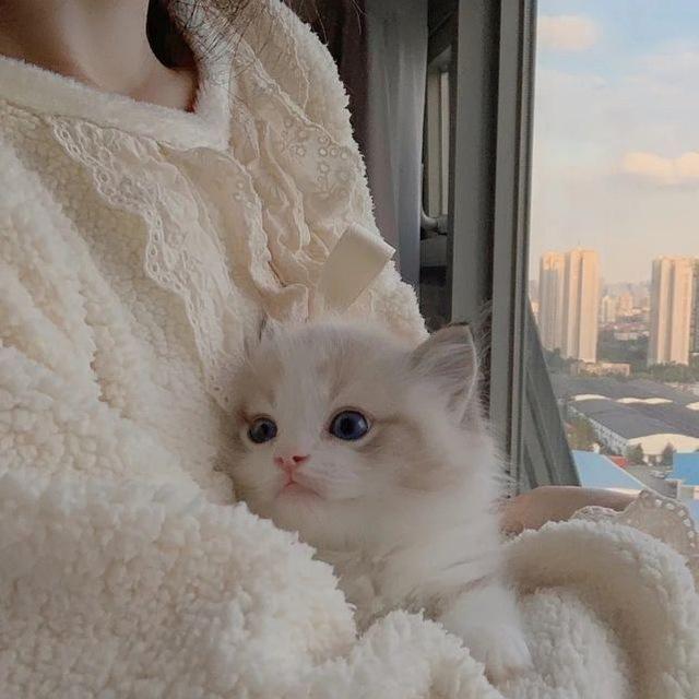 ༗秋ཻ季ཻ࿐ℒℴ𝓋ℯ文案馆.