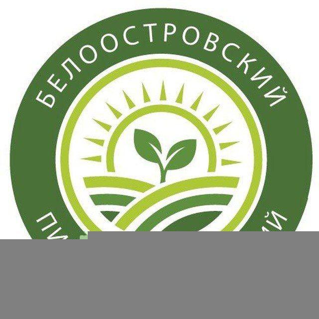 Новостной канал - Белоостровский питомник