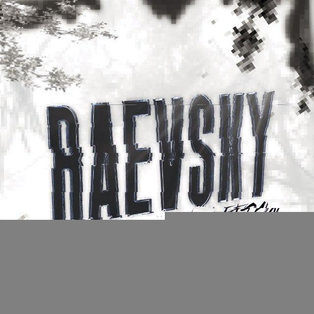 RAEVSKY PROJECT ORGANIZATION