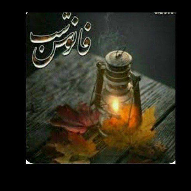 فانوس شب