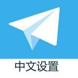zh-cn-中文语音包