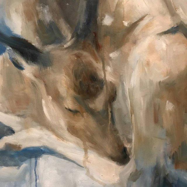 jiyuleri
