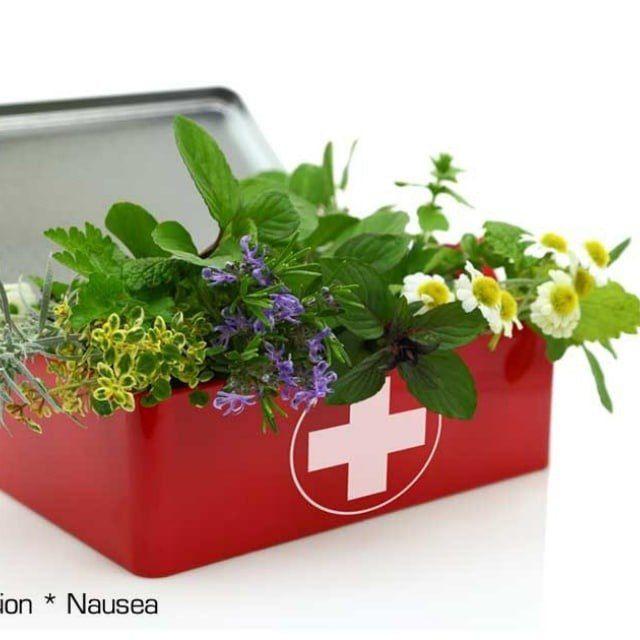 Herbs and Healing