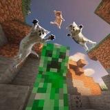Cringe Craft | Minecraft memes, News and group chat