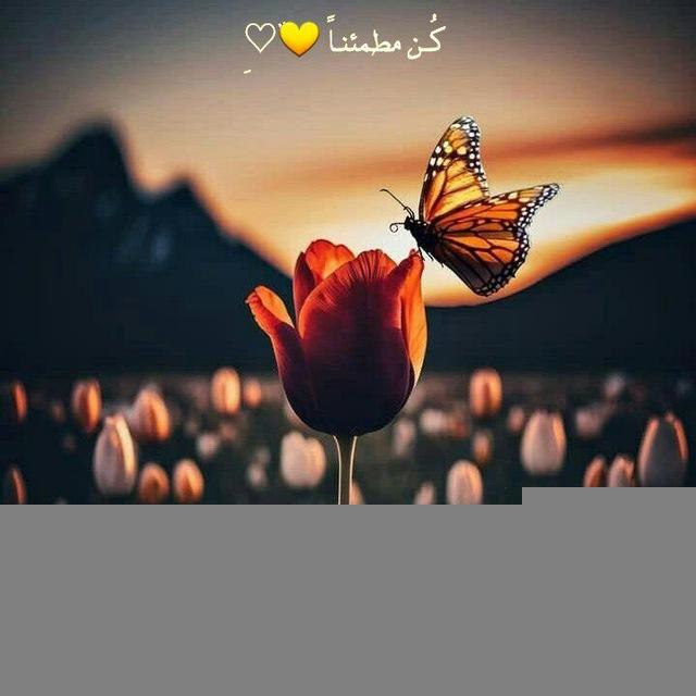 كُن مطمئنـاً 💛♡゙ِ