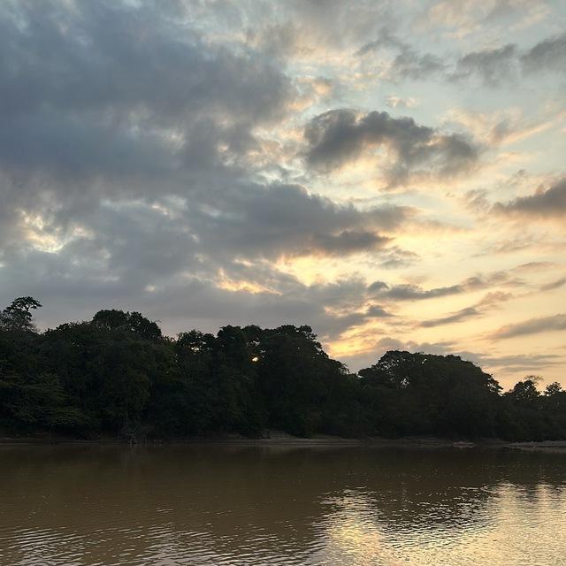 Llaneras venezolanas