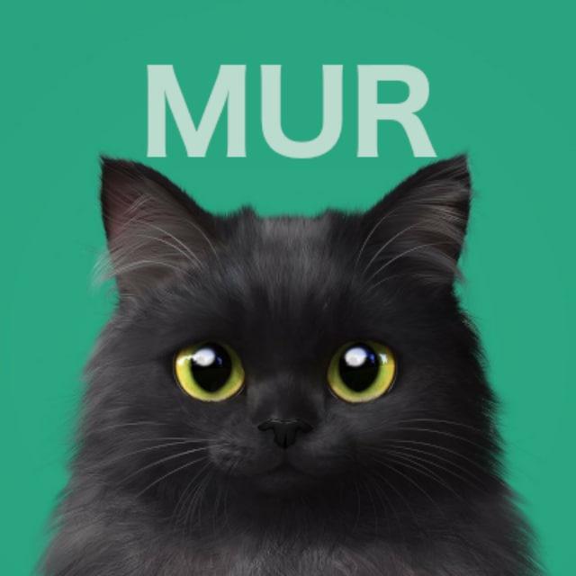 МурЧатЗдесь