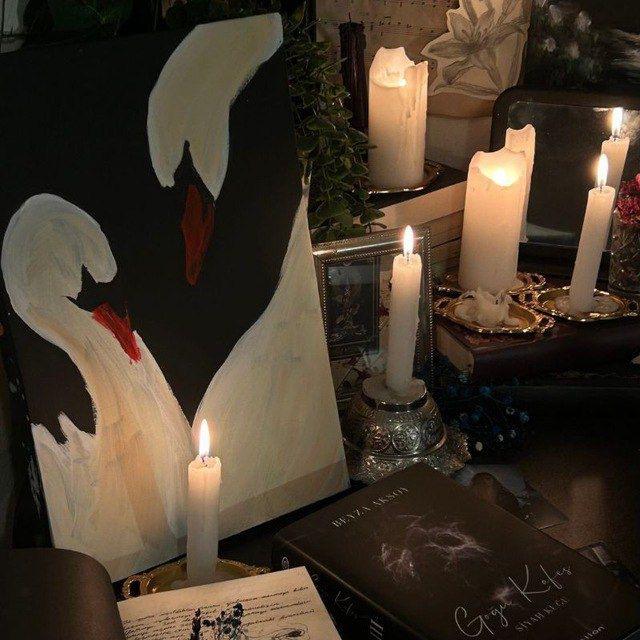 🦢⋆.˚ هُدوء ⋆