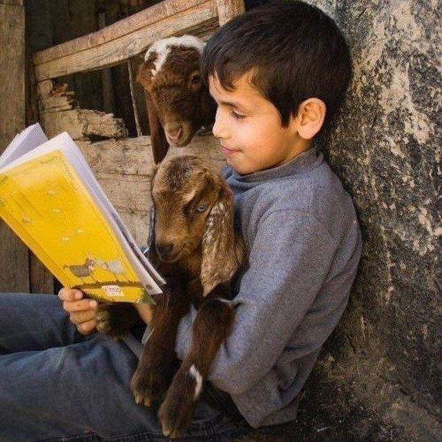 Study smarter