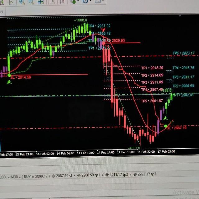 BIG INVESTMENTS ACC MANAGEMENT & FOREX EA
