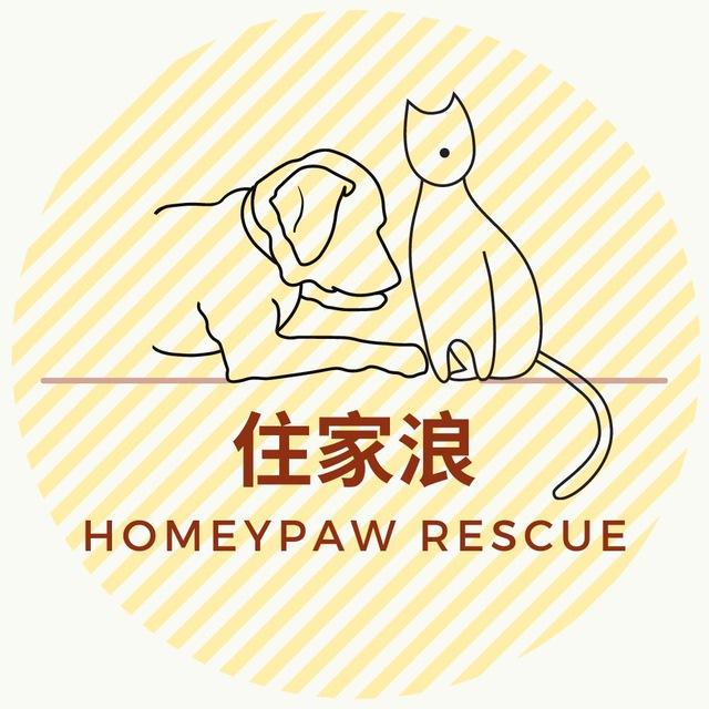 住家浪 待領養毛孩