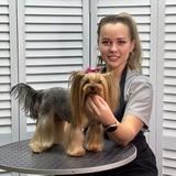 Pet Secret ЖК Спутник 🐕🐈
