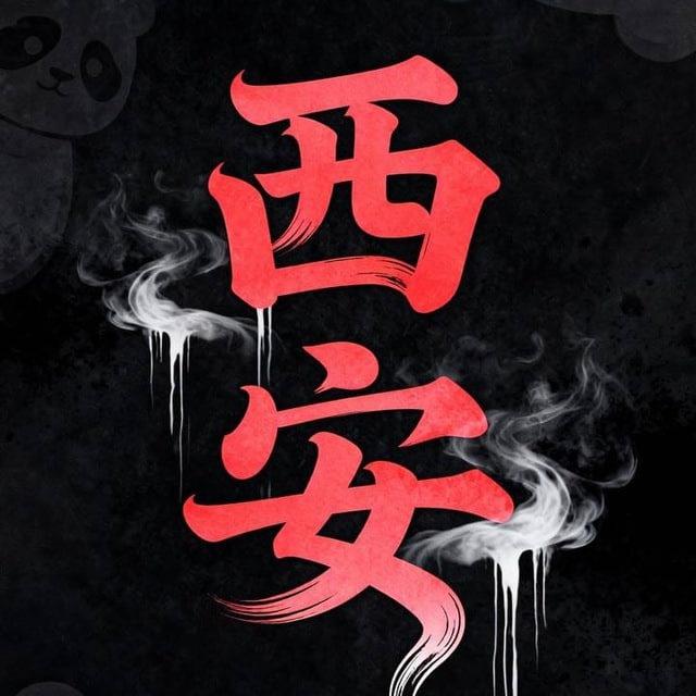 工兵团车评榜
