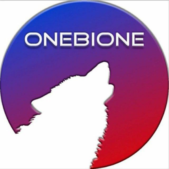 OneBione Стримы Lineage2