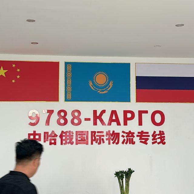 Карго Cargo 9788, доставка из Китая 🇨🇳
