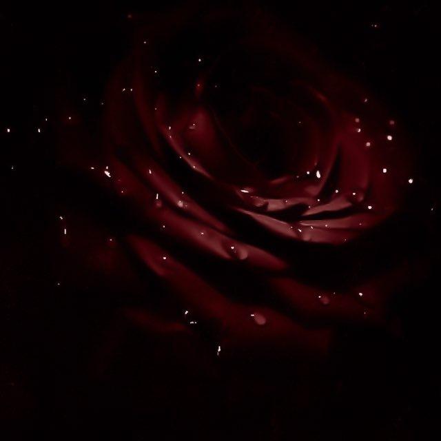 𝓢𝑒𝑐𝑟𝑒𝑡 𝑮𝑎𝑟𝑑𝑒𝑛