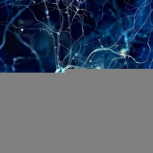 Learning Neuroscience/Apprendre les Neurosciences