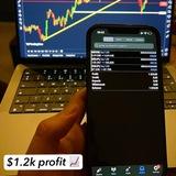 Trading Indicators - VIP Algos 📈