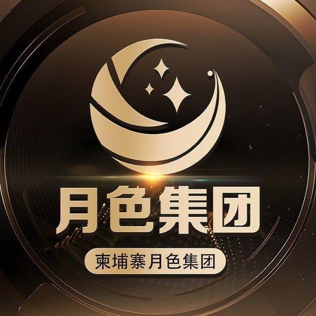 夜色集团业务导航