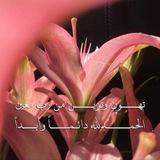 بريق الهُدى .