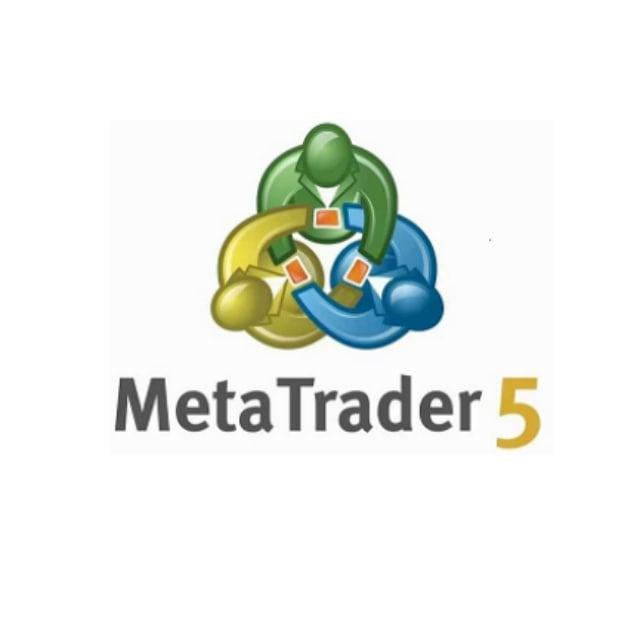 外汇MT5招商出租搭建