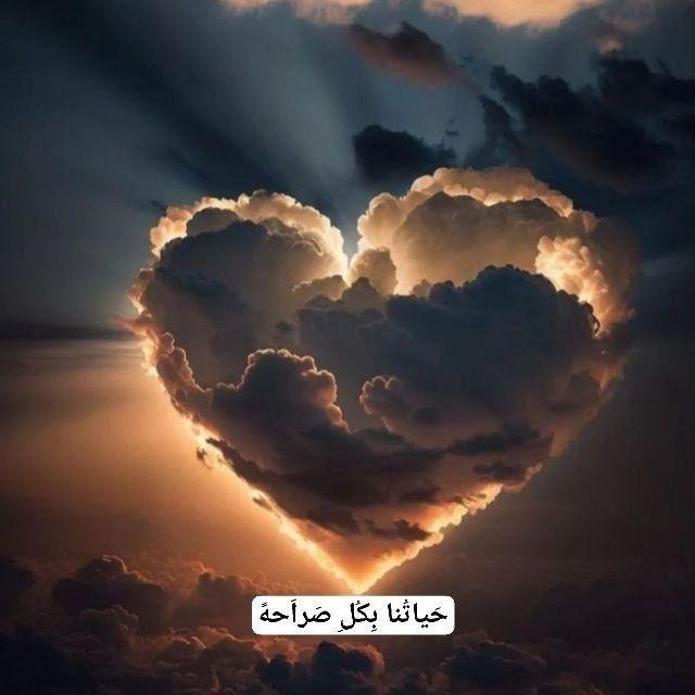 حياتنا 🤍بكل 🤍صراحه قناه🌹