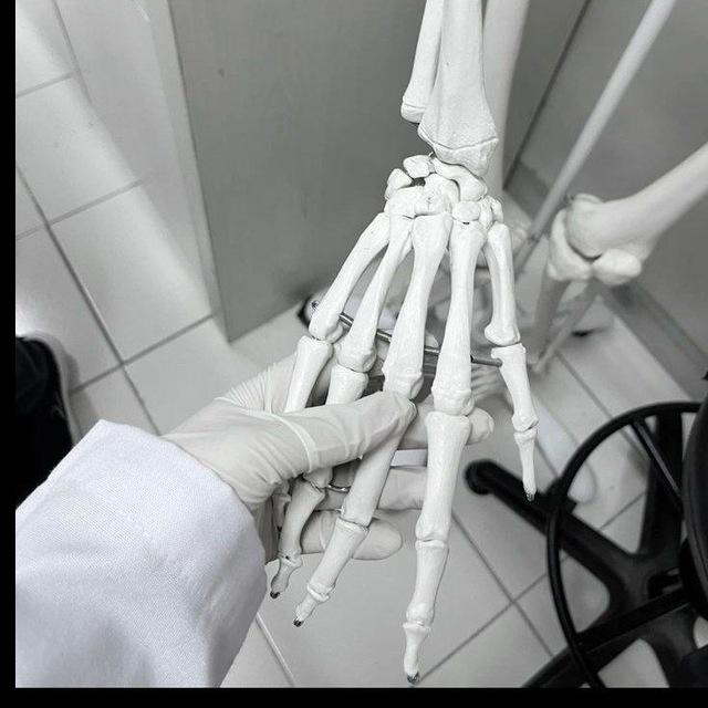 𝒯𝒽𝑒 𝐵𝒾𝑜𝐿𝑜𝑔𝒾𝓈𝓉