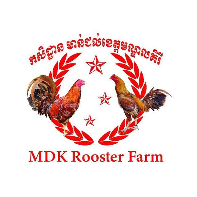 កសិដ្ឋានមាន់ជល់ខេត្តមណ្ឌលគិរី