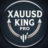 XAUUASD KING PRO