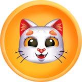 Tomo Cat Community
