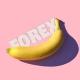 Banana Bot - Forex Signals