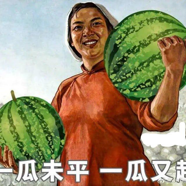 吃瓜，搞笑，新闻