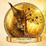 Питомник мейн-кунов “Osborn Tree”/ Maine coon cattery