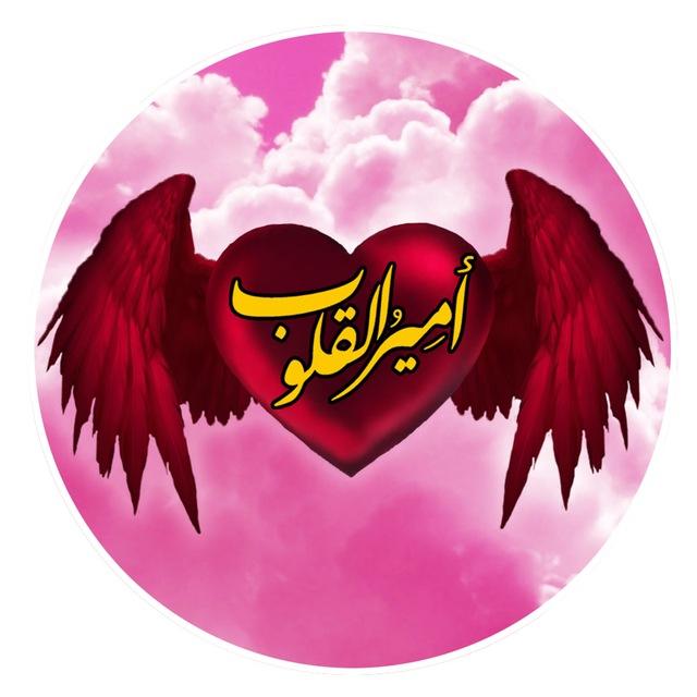 قناة أمير القلوب