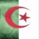 الجالية الجزائرية في روسيا 🇩🇿🤝🇷🇺