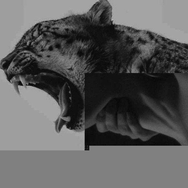 𝙍 𝘼 𝙑 𝙀 𝘿 𝘼 𝙉 𝘾 𝙀