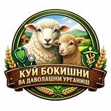 🇺🇿 КУЙ БОКИШНИ ВА ДАВОЛАШНИ УРГАНИШ 🇺🇿