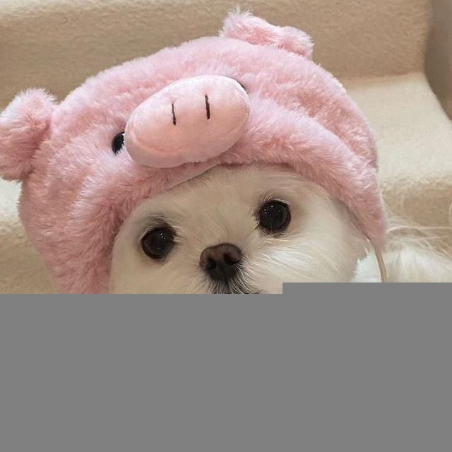 CÁI ĐỒ ĐÁNG YÊU ☺️