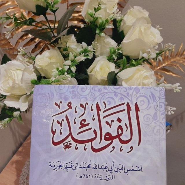 نَـــبْــضُ الهِمَّــــــة🫀📚