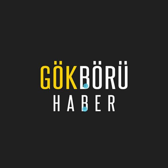 Gökbörü Haber
