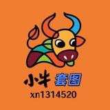 人设套图【证件女】