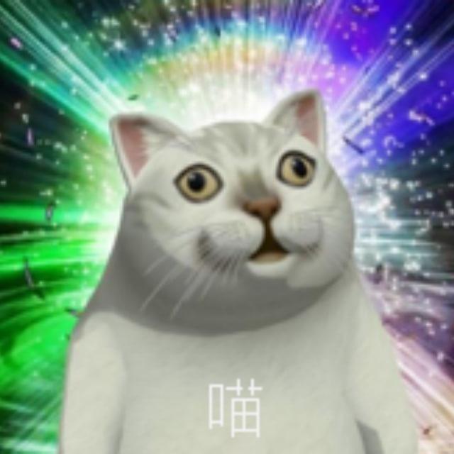 喵喵の人海漂流
