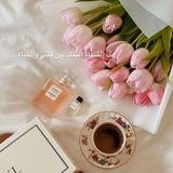 اقتباسات من ورد و تغذية بصريه 📸🌸