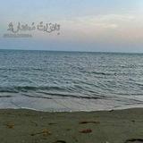تـلاوات مختارة